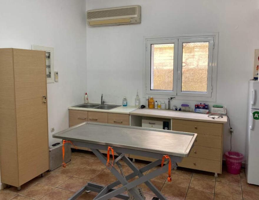 Δημοτικό Κτηνιατρείο3